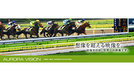 映像情報システム