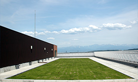 グリーンインフラ